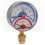 Pressure & Temperature Gauge Vertical Inlet 1/2" X 80mm