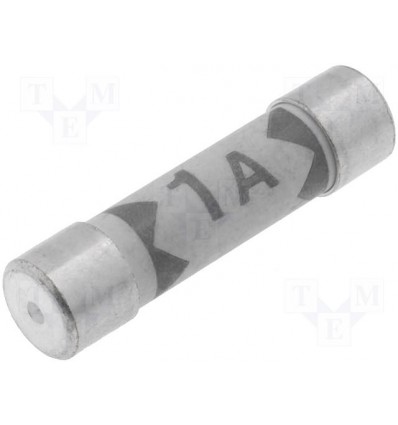 Electrical 1A (Shaver Socket) Fuse (2 Pack)