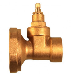 Pair Of Pump Valves Copper Gate Female 1"