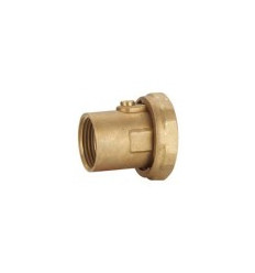 Pump Valves Compression Female1"