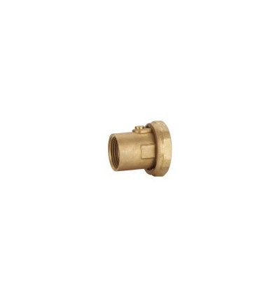 Pump Valves Compression Female1"