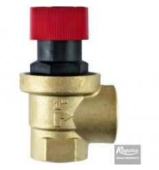 Safety Valve 1" Female 3 BAR 