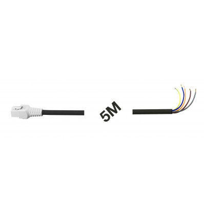 DP5M White RGB