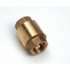Non Return Valve Spring Female 1 1/2"